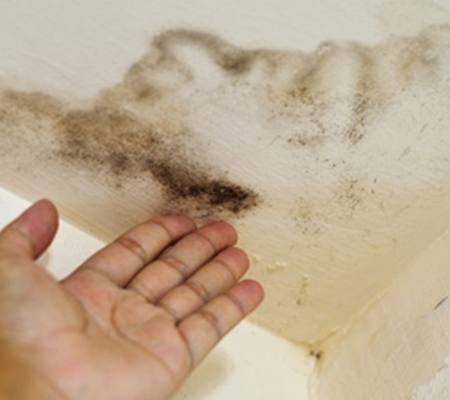 다르다누수탐지 다르다방수공사 PC 이미지 1122072